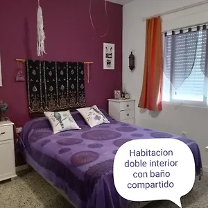  Séjour chez l'habitant Lo Flamenc @amposta Espagne